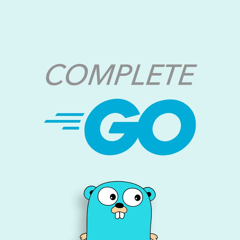 Complete Go for Professional Developers