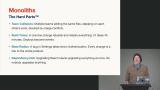 Problems with Monoliths